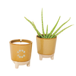 Modern Sprout® Glow & Grow Live Well Candle & Plant Gift