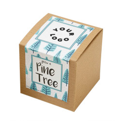 Pine Tree Growables Planter in Kraft Box